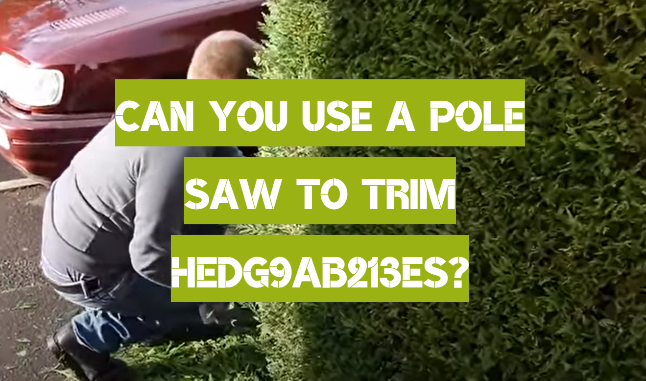 Can You Use a Pole Saw to Trim Hedges? PoleSawGuide