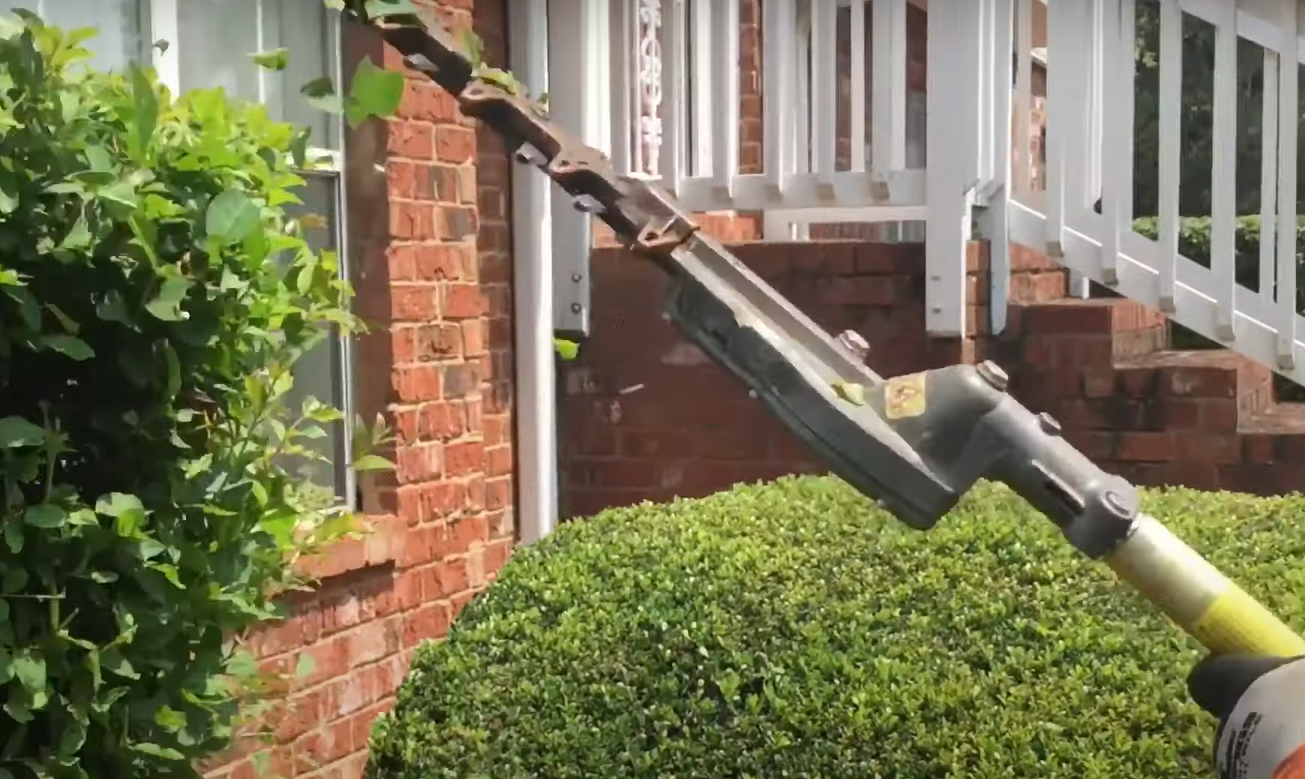 Can You Use a Pole Saw to Trim Hedges? PoleSawGuide