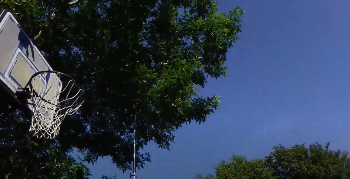 Echo Pole Saw Parts What You Need to Know? PoleSawGuide