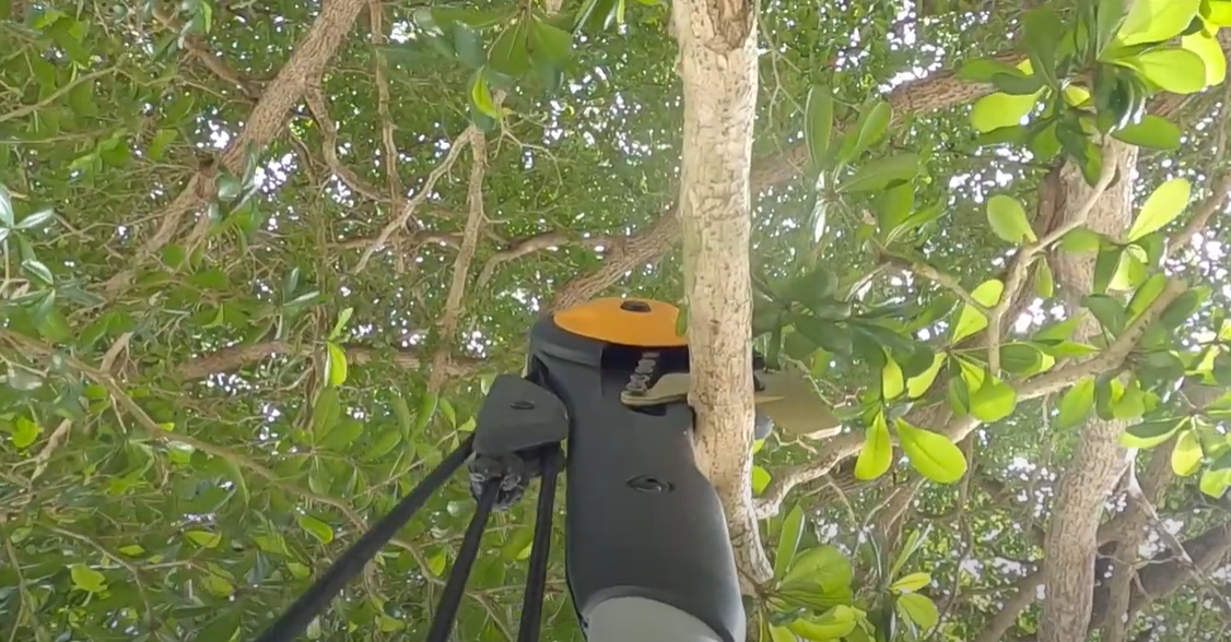 Fiskars Pole Saw Blade Replacement What to Do? PoleSawGuide