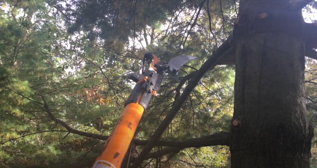 Fiskars Pole Saw Parts What You Need to Know? PoleSawGuide