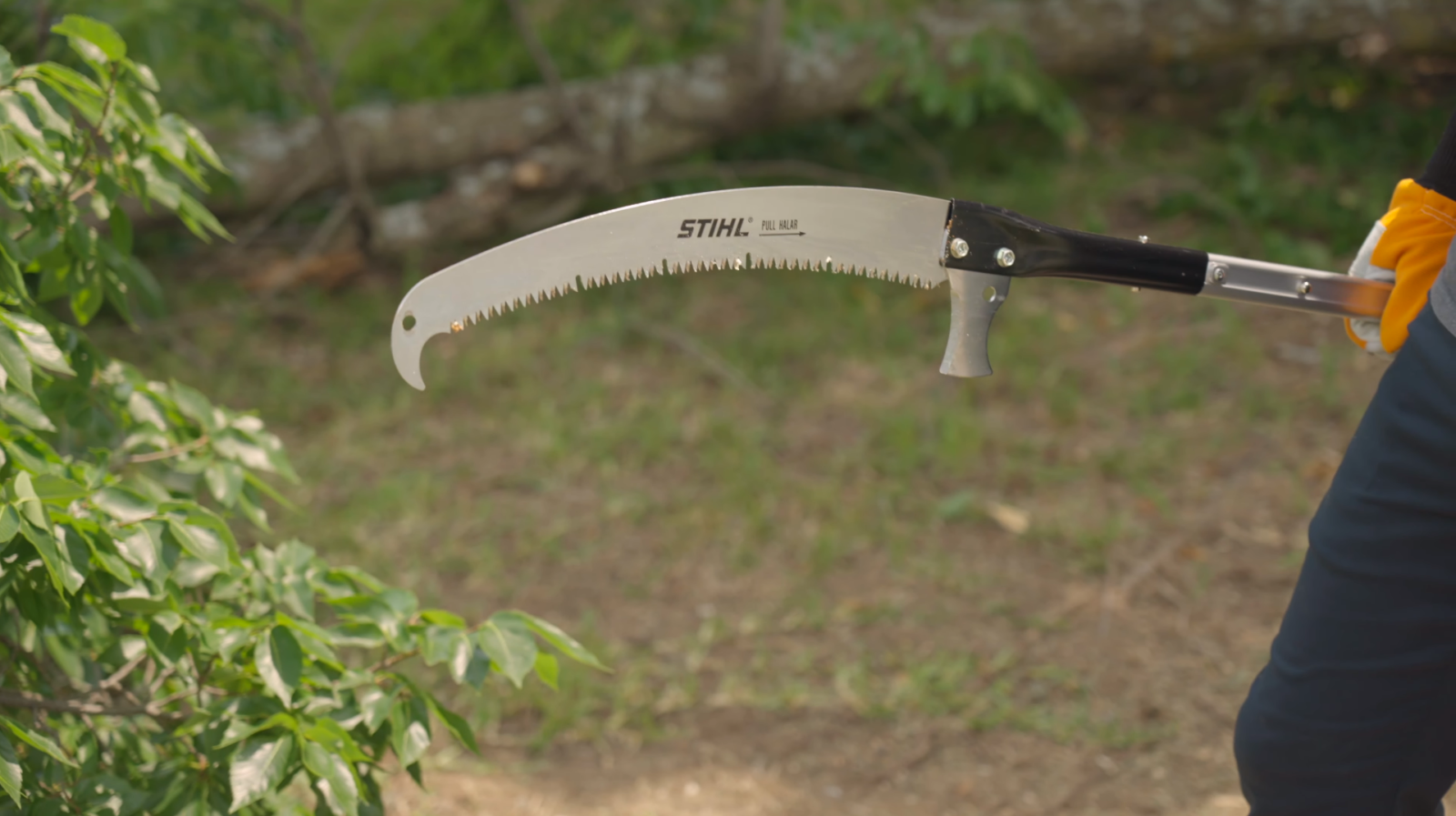 How Much Does It Cost to Rent a Pole Saw? PoleSawGuide